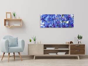 Obraz sklenený detail kvety nevädze - 50 x 100 cm