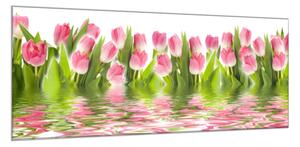 Obraz sklenený kvety ružové tulipány v hladine vody - 30 x 60 cm