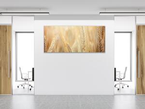 Obraz sklenený detail zrelé klasy pšenice - 30 x 60 cm