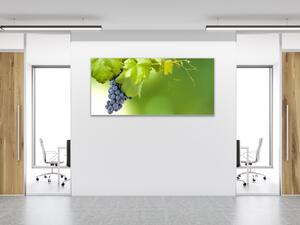 Obraz sklenený vínna réva - 30 x 60 cm