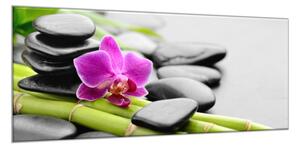 Obraz sklenený kvet orchidea na zen čiernom kameni - 50 x 100 cm