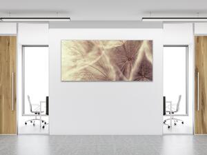 Obraz sklenený béžové páperie odkvitnuté púpavy - 40 x 60 cm