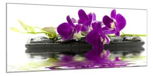 Obraz sklenený temný kvet orchidey na kameni a hladine - 50 x 100 cm
