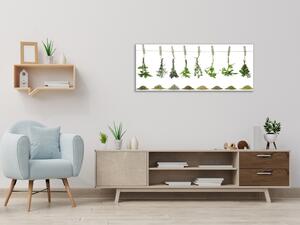 Obraz sklenený čerstvé bylinky visí na lane - 34 x 72 cm