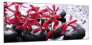 Obraz sklenený červený kvet a čierne kamene - 40 x 60 cm