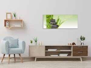 Obraz sklenený bambus s trávou a kameňmi - 50 x 100 cm