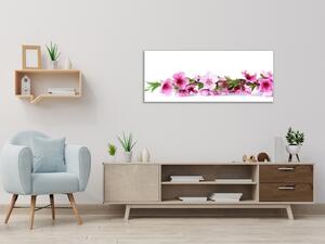 Obraz sklenený ružové kvety broskyne - 30 x 60 cm