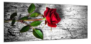 Obraz sklenený kvet červená ruža na dreve - 52 x 60 cm