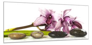 Obraz sklenený kvet fialova exotická orchidea a kamene - 40 x 60 cm