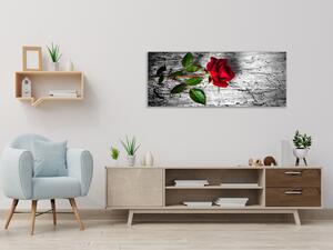 Obraz sklenený kvet červená ruža na dreve - 50 x 100 cm