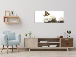 Obraz sklenený biele kvety, motýľ, okruhliaky - 50 x 100 cm