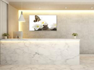 Obraz sklenený biele kvety, motýľ, okruhliaky - 50 x 100 cm