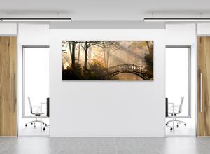 Obraz sklenený most v jesennom parku - 30 x 60 cm