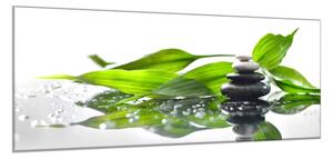 Obraz sklenený zelené listy a kamene zen - 50 x 100 cm