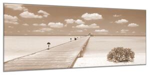 Obraz sklenený most do mora - 50 x 100 cm