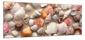 Obraz sklenený morská mušle na pláži - 30 x 60 cm