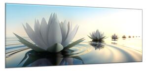 Obraz sklenený kvety lekien na hladine vody - 40 x 60 cm