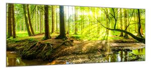 Obraz sklenený zelený les a potok - 40 x 60 cm