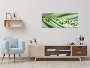 Obraz sklenený rosa na zelenom liste - 30 x 60 cm