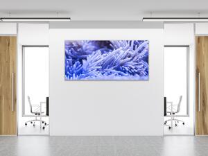 Obraz sklenený sasanka morská - 50 x 100 cm