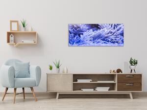 Obraz sklenený sasanka morská - 50 x 100 cm