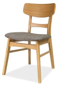 Jedálenská stolička SIGCD-61 dub/sivá