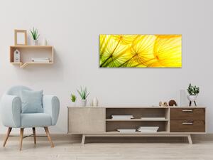 Obraz sklenený žltozelená odkvitnutá púpava - 30 x 60 cm