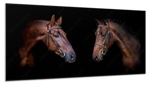 Obraz sklenený dve hlavy hnedého koňa - 30 x 60 cm