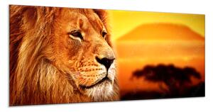 Obraz sklenený lev v západu slnka - 50 x 125 cm