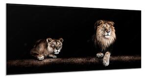 Obraz sklenený levice a lev na kmeni - 40 x 60 cm