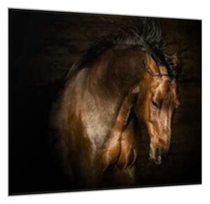 Obraz sklenený hnedý kôň s vzdušnou hrivou - 70 x 70 cm