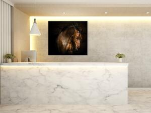 Obraz sklenený hnedý kôň s vzdušnou hrivou - 40 x 40 cm