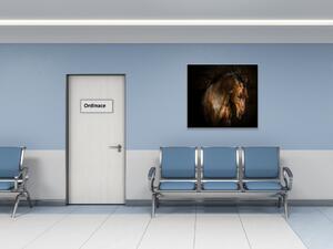 Obraz sklenený hnedý kôň s vzdušnou hrivou - 50 x 50 cm