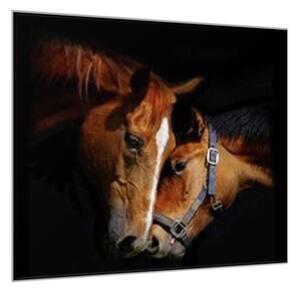 Obraz sklenený dve konské hlavy - 40 x 40 cm