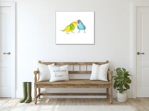 Obraz sklenený papagáj zamilovanej andulky - 40 x 40 cm