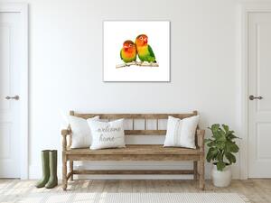 Obraz sklenený papagáj agapornis - 40 x 40 cm