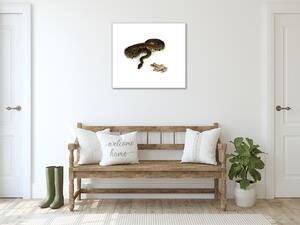 Obraz sklenený had a žaba - 40 x 40 cm
