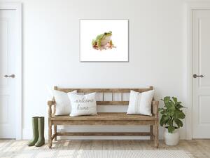 Obraz sklenený žaba rosnička - 55 x 55 cm