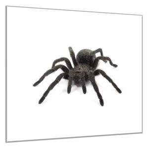 Obraz sklenený čierny pavúk - 40 x 40 cm