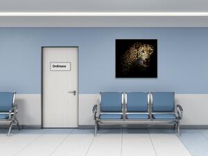 Obraz sklenený šelma portrét leoparda - 40 x 40 cm
