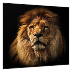 Obraz sklenený hlava leva - 34 x 34 cm