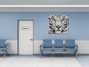 Obraz sklenený šelma hlava bieleho tigra - 40 x 40 cm