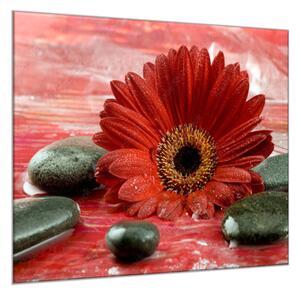 Obraz sklenený štvorcový kvet červené gerbery a čierne kamene - 50 x 50 cm