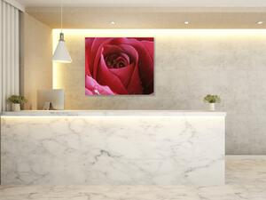 Obraz sklenený štvorcový detail kvetu červenej ruže - 40 x 40 cm