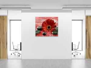 Obraz sklenený štvorcový kvet červené gerbery a čierne kamene - 40 x 40 cm