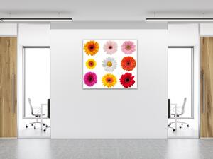Obraz sklenený štvorcový farebné kvety gerber jednotlivo - 34 x 34 cm