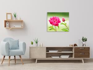Obraz sklenený štvorcový kvety tmavo ružové pivonky - 34 x 34 cm