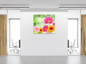 Obraz sklenený štvorcový farebné kvety gerber - 40 x 40 cm