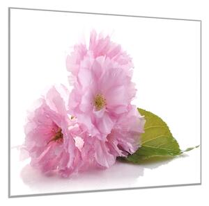 Obraz sklenený štvorcový ružový kvet mandľovníka - 40 x 40 cm