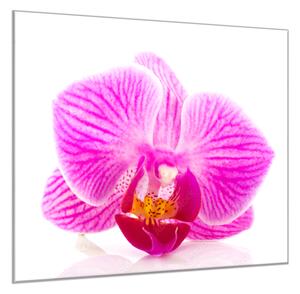 Obraz sklenený štvorcový kvet ružové orchidey - 60 x 60 cm